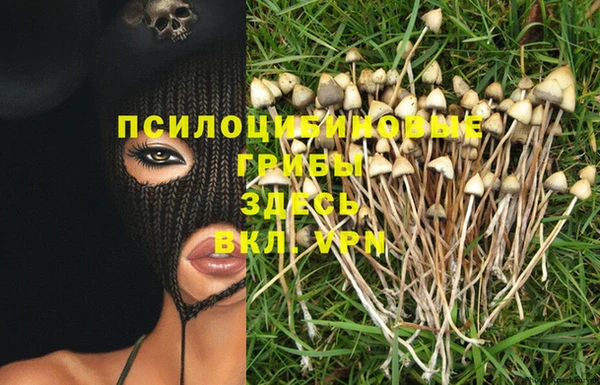 ешки Солнечногорск