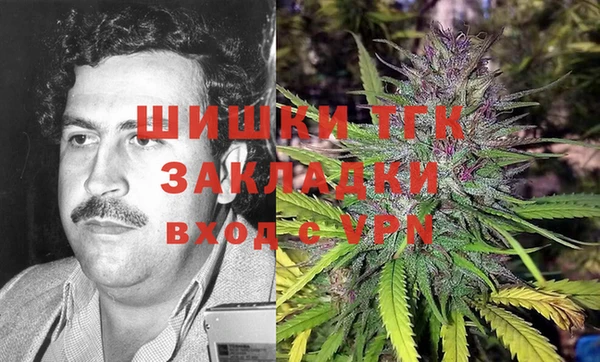 ПСИЛОЦИБИНОВЫЕ ГРИБЫ Вяземский