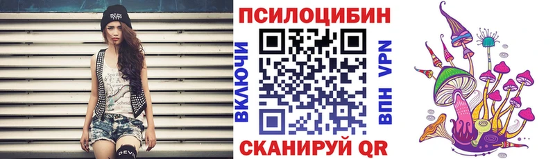купить наркоту  omg ссылки  Галлюциногенные грибы Psilocybine cubensis  Скопин 
